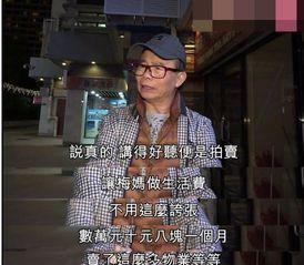 梅艳芳 二哥 爆料视频,家族往事与演艺生涯幕后真相 第1张 梅艳芳 二哥 爆料视频,家族往事与演艺生涯幕后真相 第1张